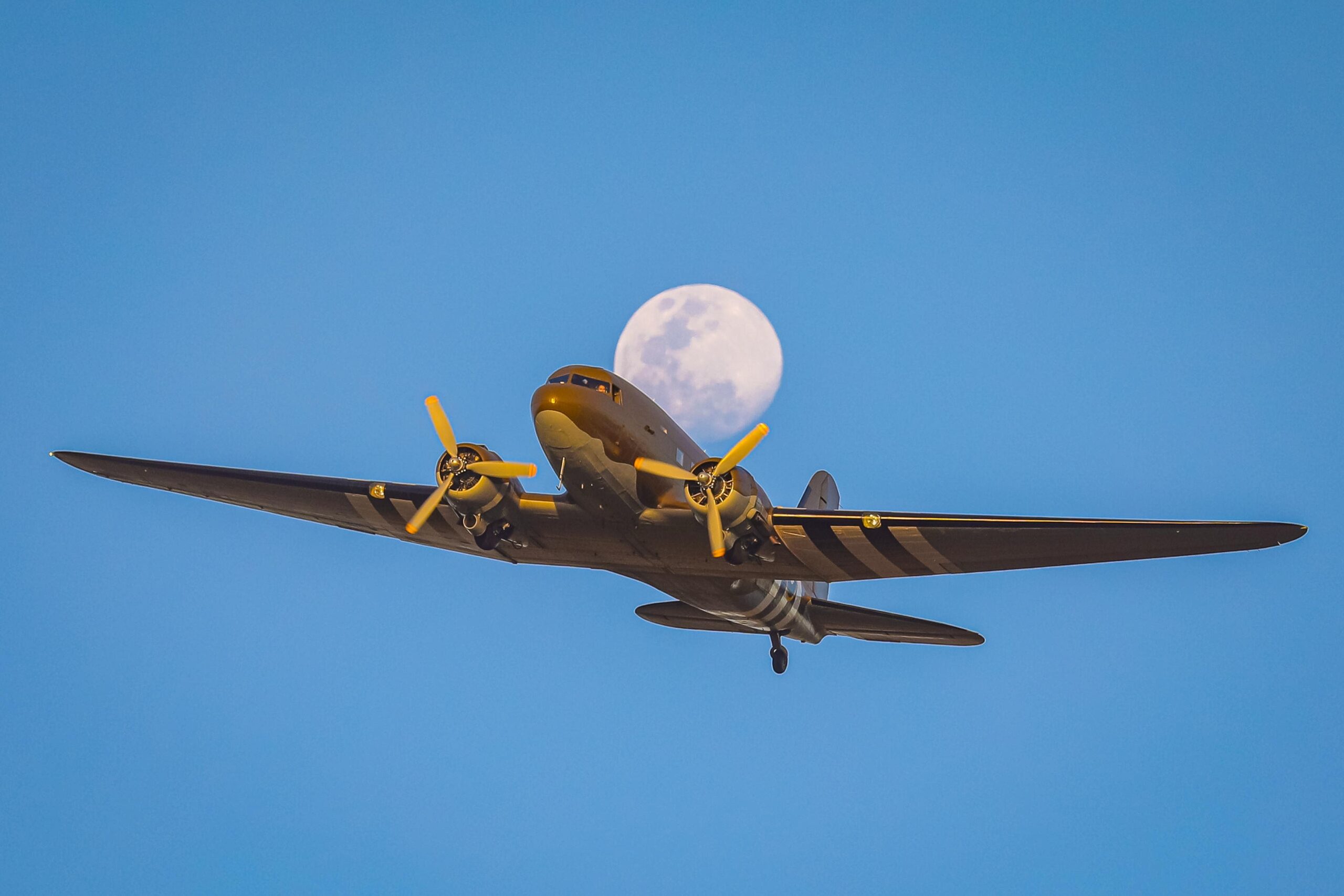 e666c2d6-63d4-4c77-8c63-77d220e4709f