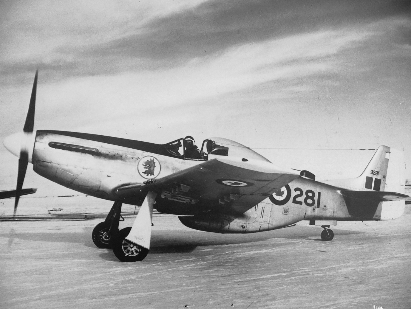 1945 North American P-51D Mustang (N6325T), photo 2